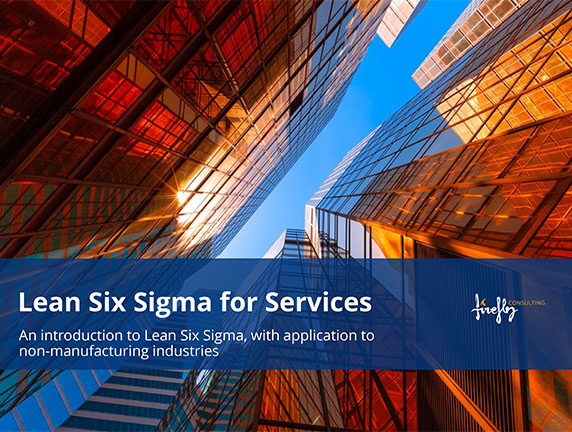 Introduction to Lean Six Sigma for Services