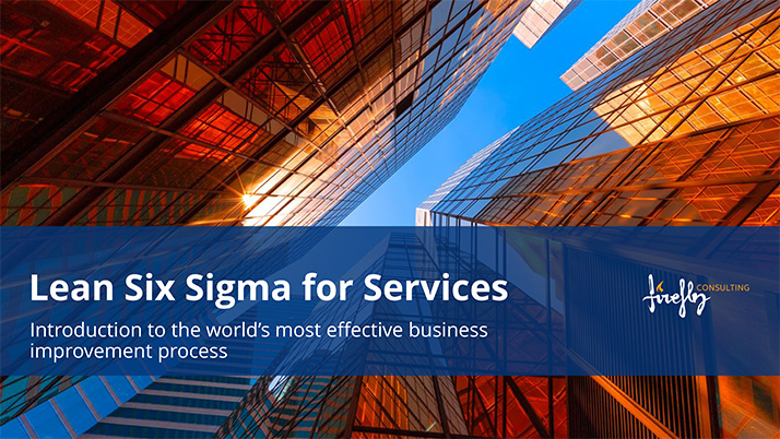 Introduction to Lean Six Sigma for Services